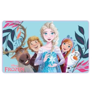 Frozen Rug / Mat Foam