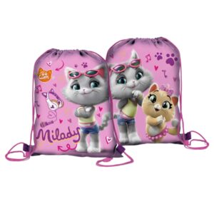 44 Cats Gym bag