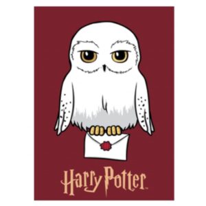 Harry Potter Fleece blanket - Image 1