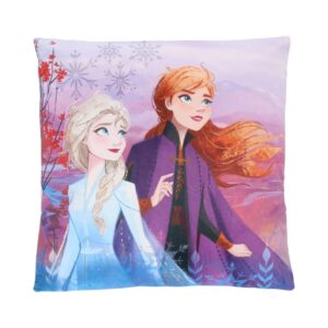 Frozen Cushion - Image 3