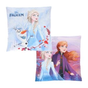 Frozen Cushion