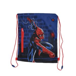 Spiderman Gym bag