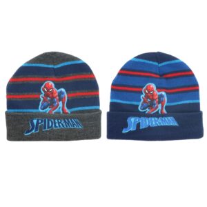 Spiderman Hat
