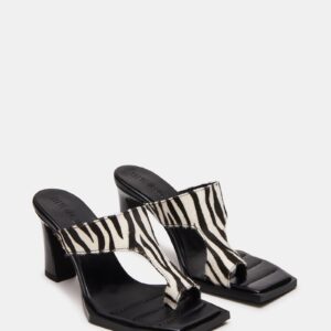 Alameda Zebra - Image 2