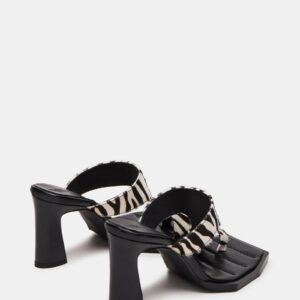 Alameda Zebra - Image 5