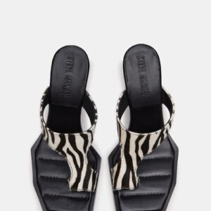 Alameda Zebra - Image 4