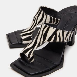 Alameda Zebra - Image 3