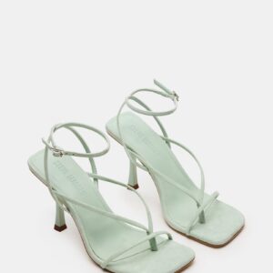 Annie Pistachio - Image 3