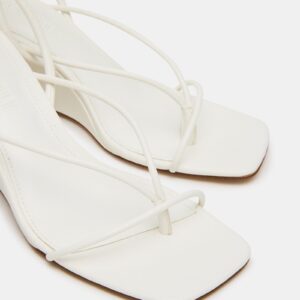 Appa White - Image 4