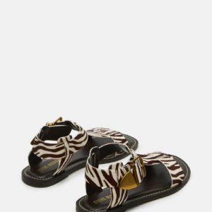 Brazinn Zebra - Image 5