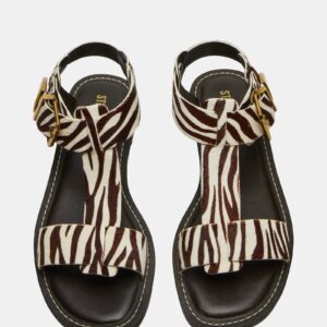 Brazinn Zebra - Image 4
