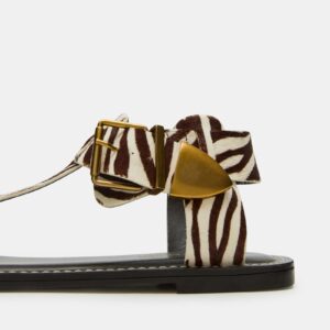 Brazinn Zebra - Image 3