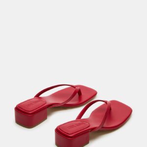 Caribbean Red - Image 5