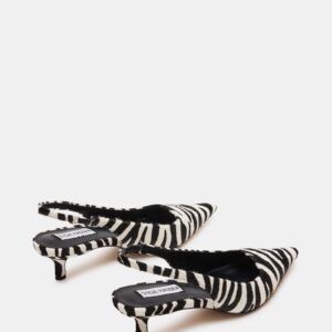 Kari Zebra - Image 5