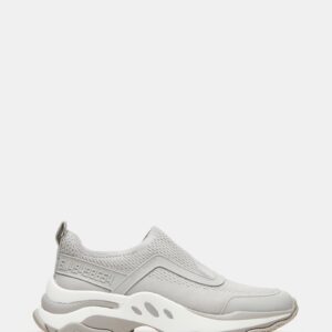 Mazus Grey - Image 1