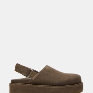 Mellow Grey Sage - Image 1