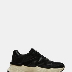 Sebi Black - Image 1