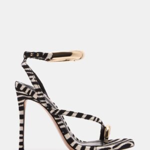 Tia Zebra - Image 1