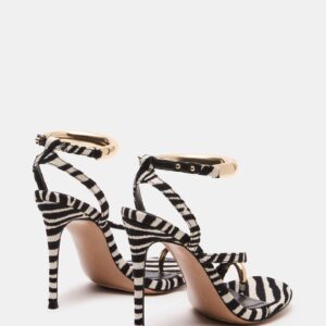 Tia Zebra - Image 6