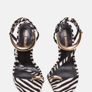 Tia Zebra - Image 5