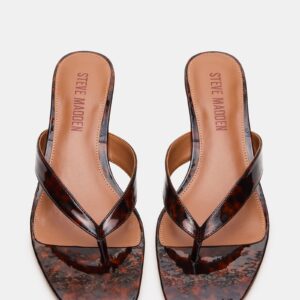 Tracie Tortoise - Image 4