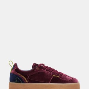 Tucker Burgundy Multi - Image 1