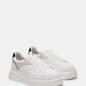 Venture White - Image 2