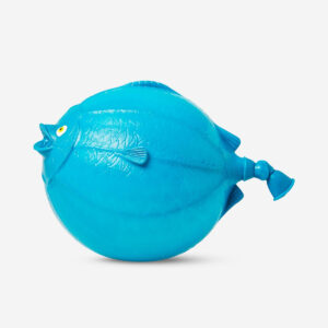 Inflatable Fish Toy - Image 1