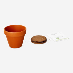 Basil grow kit - Image 3