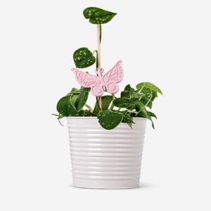 Butterfly shaped plant supports - 2 pcs - Image 3