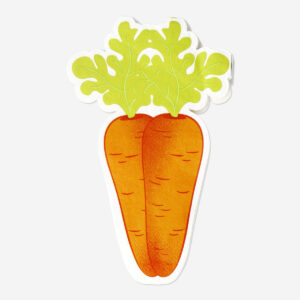 Carrot shaped napkins - 16 pcs