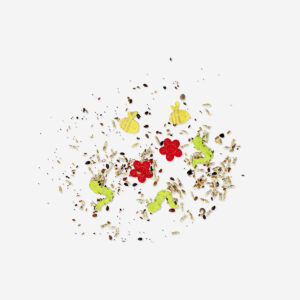 Confetti flower seed packet - Image 1