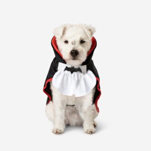 Dracula Costume for Pets