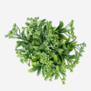 Decorative plant - Image 3