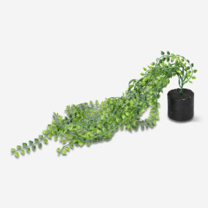 Decorative hanging plant - Image 2