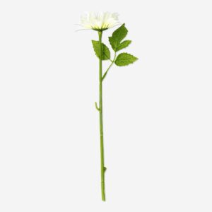 Decorative white flower