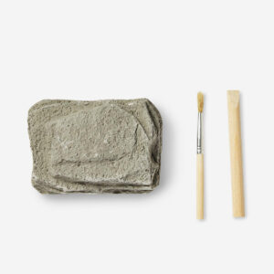 Excavation kit - Fossils - Image 2