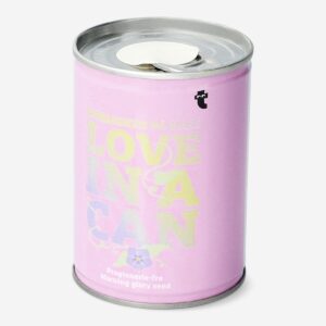 Grow your own morning glory - Image 2