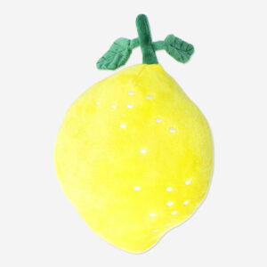 Lemon door stop