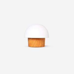 Outdoor cosy lamp - Image 1