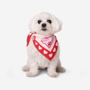 Pink pet bandana
