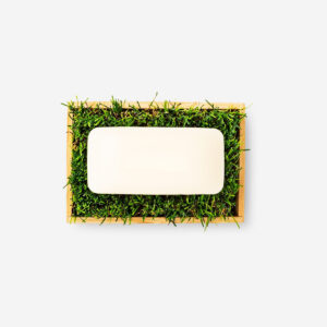 Soap dish - Image 2