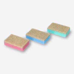 Sponges - Image 2