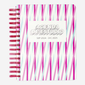 Striped study planner. Spanish