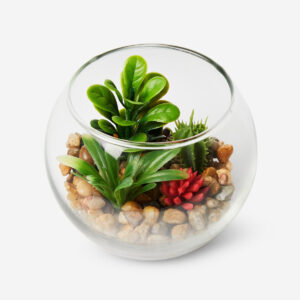Terrarium - Image 2