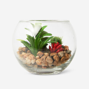 Terrarium - Image 1