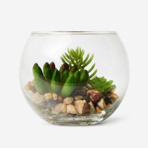 Terrarium - Image 1