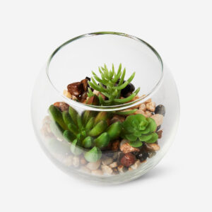 Terrarium - Image 2
