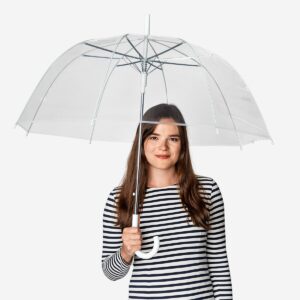 Transparent umbrella