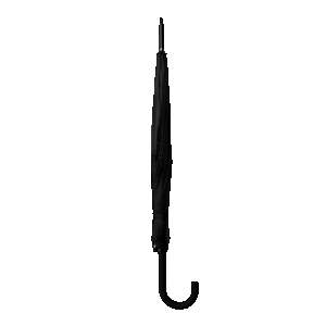 Black umbrella